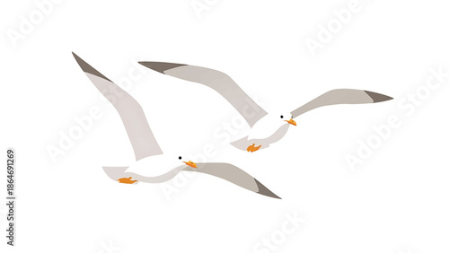 A vectorized illustration of three white birds with grey-tipped wings soaring against a plain white background, appearing to be in flight
