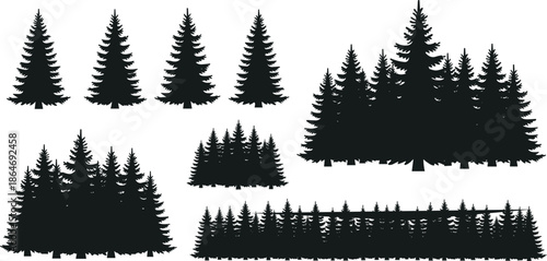 Evergreen pine forest silhouette collection with individual trees and dense woodland borders, isolated on white background for landscape, nature, and outdoor design use