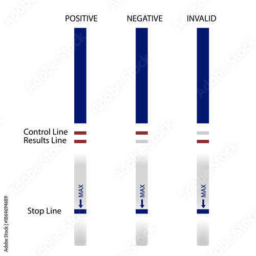 pregnancy test, hCG test, rapid test, rapid test,Vector realistic 3d pregnancy test strip with positive, negative and invalid result set icon closeup isolated 