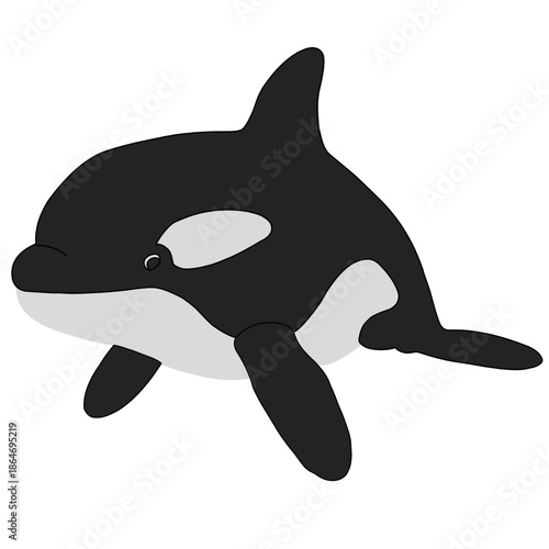 Cute cartoon orca whale illustration isolated on white background