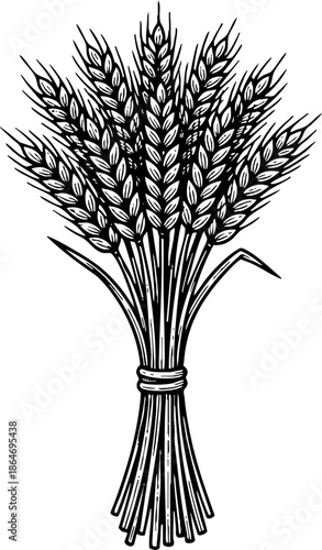 Sheaf of Wheat Grain Harvest Vintage Engraving Illustration