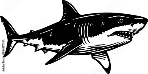 Great White Shark Black and White Engraving Style Illustration