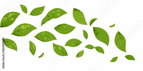 A scattering of vibrant green leaves against a plain white background