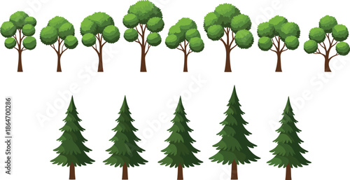 Tree vector set featuring deciduous and pine trees for forest landscape nature and outdoor environment illustrations