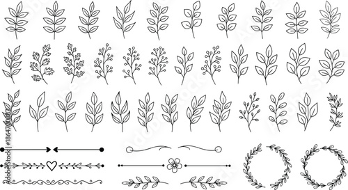 Botanical decorative elements vector set featuring floral branches leaves dividers wreaths and ornamental line designs