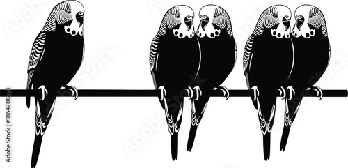 Black and white budgerigar parrots perched on branch, symmetrical pairs and single bird, minimalist vector illustration, wildlife art