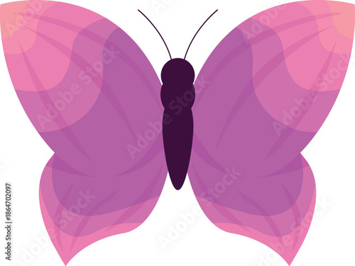 Beautiful pink butterfly with decorative circles on its wings, isolated on white background