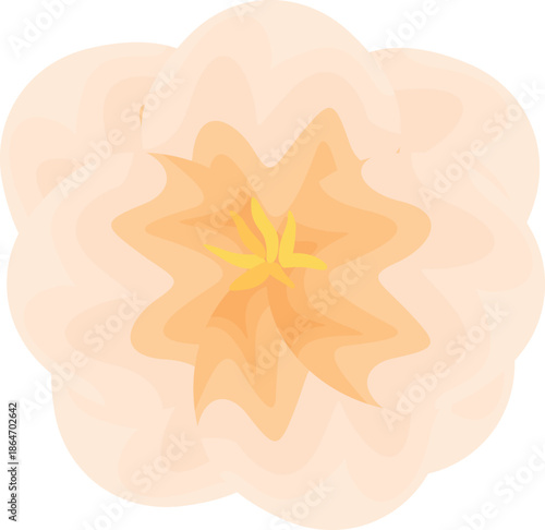 Light orange flower head blooming in spring, with soft petals and a bright yellow center