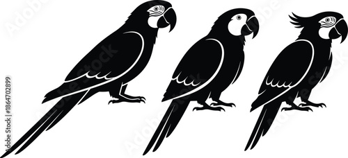 Three stylized black parrot silhouettes vector illustration set isolated on white background minimal tropical bird design for branding logos decor