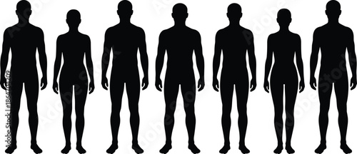 Male and female human body silhouettes front view, anatomy proportions reference set, standing people figures isolated on white background vector