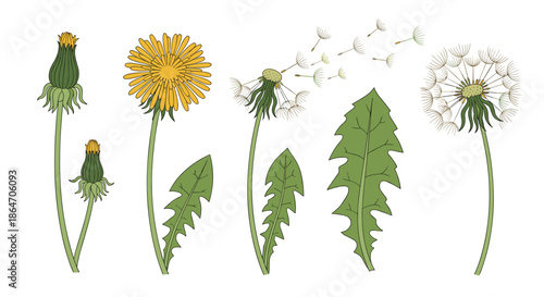 Group of diverse men and women singing with passion into microphones surrounded by floating musical notes for entertainment themes.