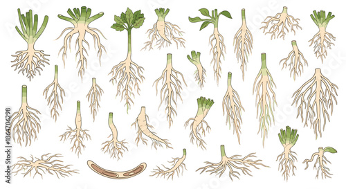 Extensive set of isometric office chairs armchairs and sofas in different styles and colors for interior workspace furniture design.