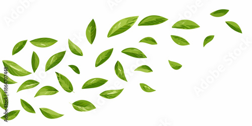 A scattering of vibrant green leaves against a clean white background