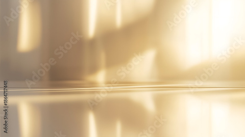 Luxury Mirror Reflective Space