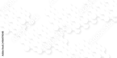 Abstract background with squares . Background with hexagons . Abstract background with lines . white texture background . white and hexagon abstract background. white paper texture and futuristic .