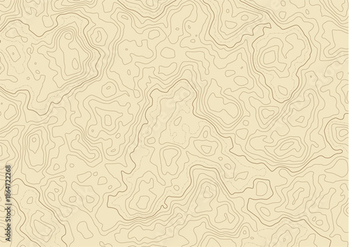 Abstract topographic contour map pattern vector background in muted brown tones