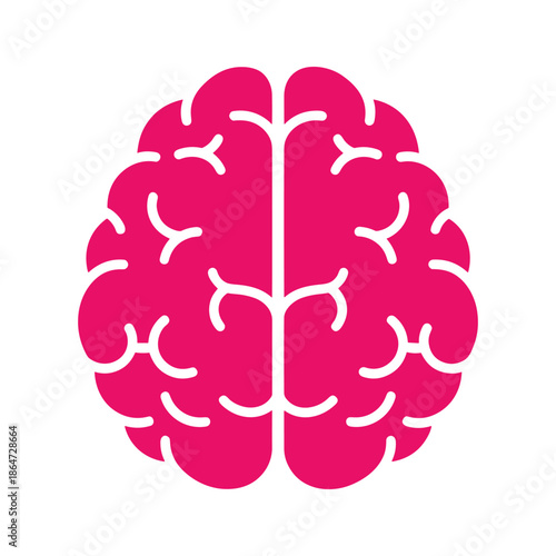 Brain Illustration Vector