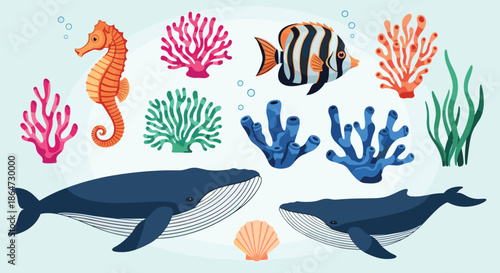 Marine life illustration featuring two large blue whales, a seahorse, tropical fish, various corals, and a seashell underwater.