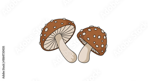 Two brown mushrooms with white spots on their caps growing together against a solid white background for nature study.