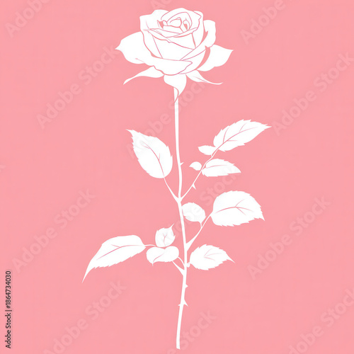 White rose silhouette on pink background with delicate stem and leaves creating romantic minimal floral illustration
