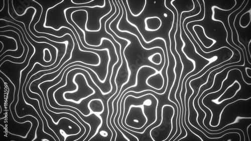 Abstract Glowing White Wavy Lines.Motion Graphic with Alpha Matte. Topographic Map Style Organic Line looped Animation. Minimalist Liquid Flowing Lines
