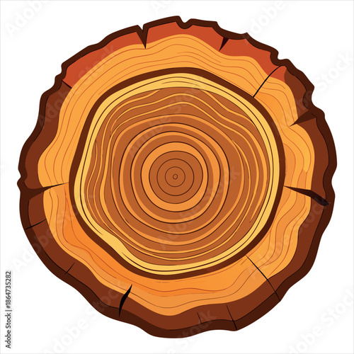 Wood,Realistic Tree Trunk Cross Section with Natural Wood Rings Vector,Wood Log Cross Section Texture,Natural Tree Rings Wooden Background,Natural Tree Rings Wood Texture,