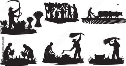 Rural farm landscape illustration with grazing cows in pasture, wooden fence, farmhouse, field and trees, traditional countryside agriculture scene, black and white vector design