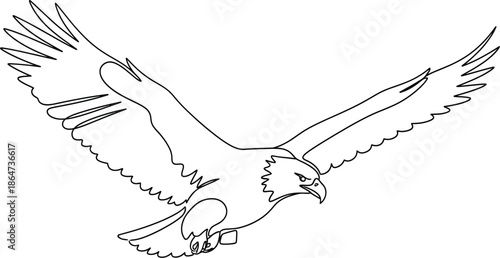 Minimalist one line drawing of an eagle soaring with wings spread wide