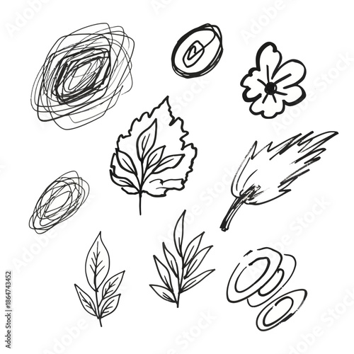 Hand Drawn Leaves and Floral Elements.