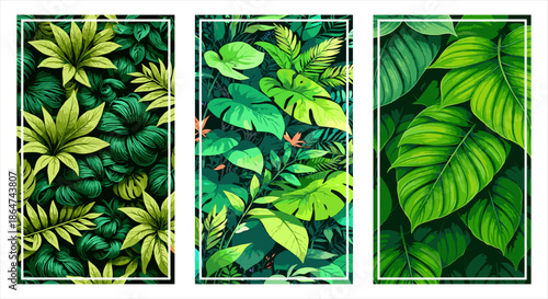 Lush green tropical foliage triptych featuring monstera and palm leaves in a dense jungle pattern. Vibrant botanical vector illustration set for modern exotic wall art and decor