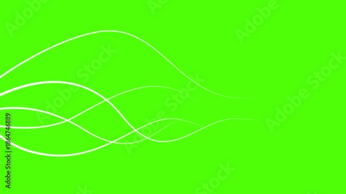 Abstract white wavy lines animation on green screen background. Chroma key organic growing roots or vines for compositing.