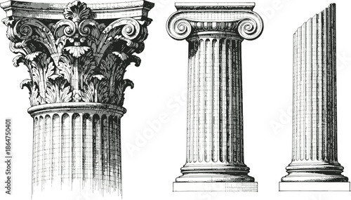 Intricate illustration of classical columns, showcasing their elegant details and enduring architectural presence.