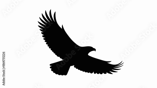 A black silhouette of an eagle in flight against a white background
