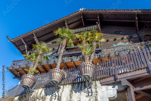 Palmen in Blumentöpfen an einem Haus in Meran, Südtirol