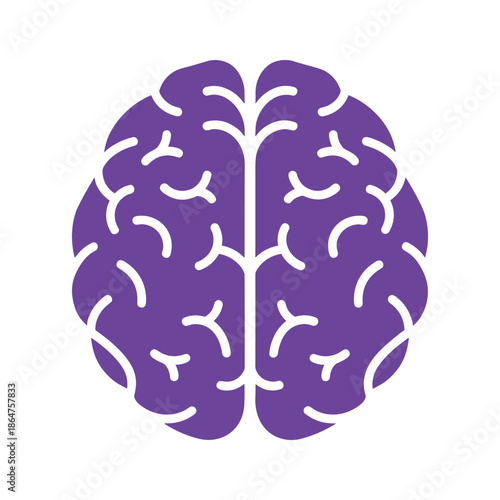 Brain Illustration Vector