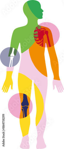 Human Body Anatomy Medical Vector Illustration
