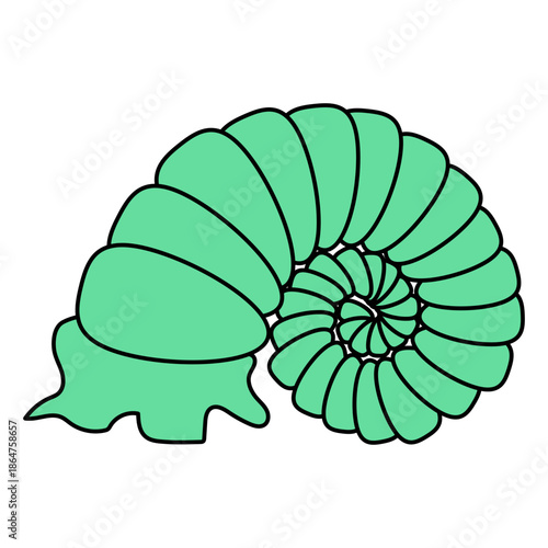 Sea shell cartoon. Tropical ocean exotic underwater seashell