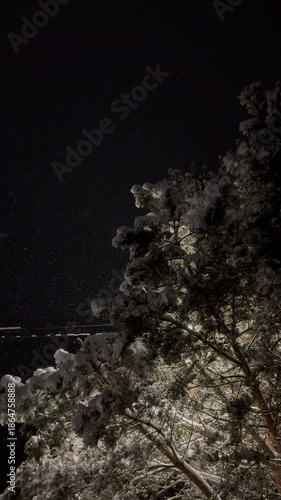 Close-up of the texture of sparkling snow
