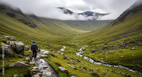 Hiking Through the Verdant Valley - A Solitary Journey.