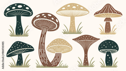 Vibrant mushroom illustrations in earthy tones for nature designs