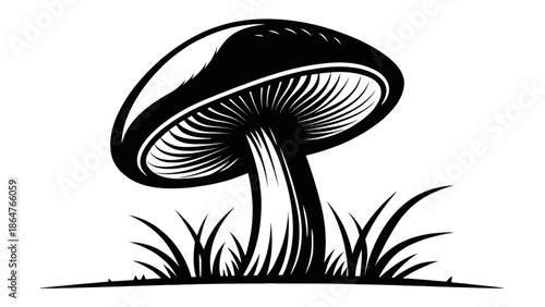 Stunning black and white mushroom illustration in grass