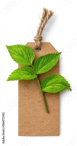 Tag with green leaves, brown twine, simple, earthy