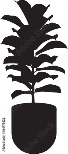 Potted Fiddle Leaf Fig Plant Silhouette Vector Icon