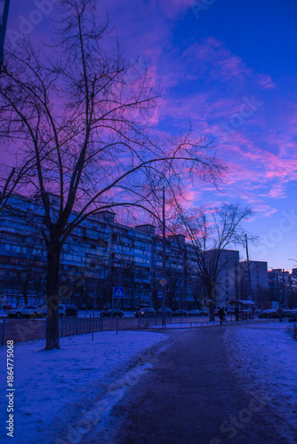 Winter evening in a residential area: silhouettes of panel buildings and bare trees against a pink and blue sunset.