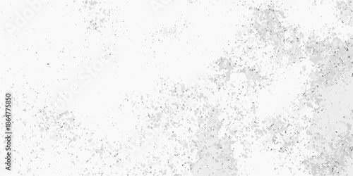 Abstract white texture with grainy specks and subtle variations in tone