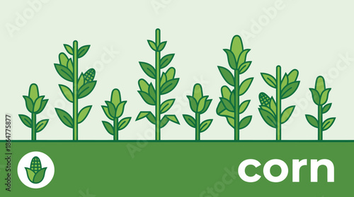 Vibrant illustration of growing corn plants in a field with lush green leaves, representing agriculture and sustainable farming.