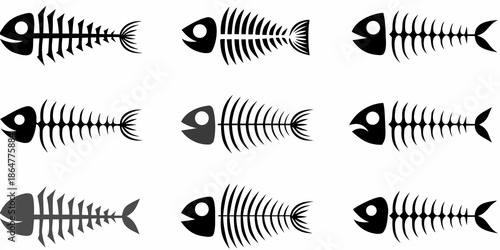 A collection of black and white fish skeletons arranged in a grid pattern