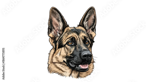 Color portrait of a german shepherd dog head
