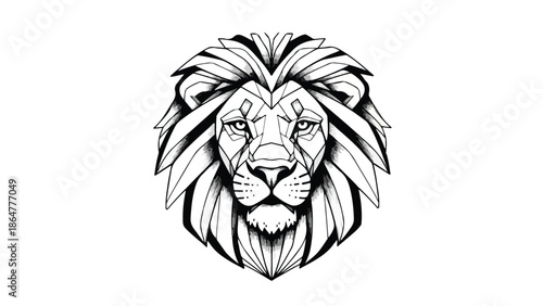 Front view sketch of a lion head front view