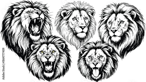 Collection of diverse lion head mascot front views